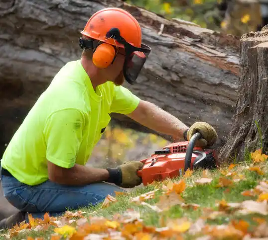 tree services Natchitoches